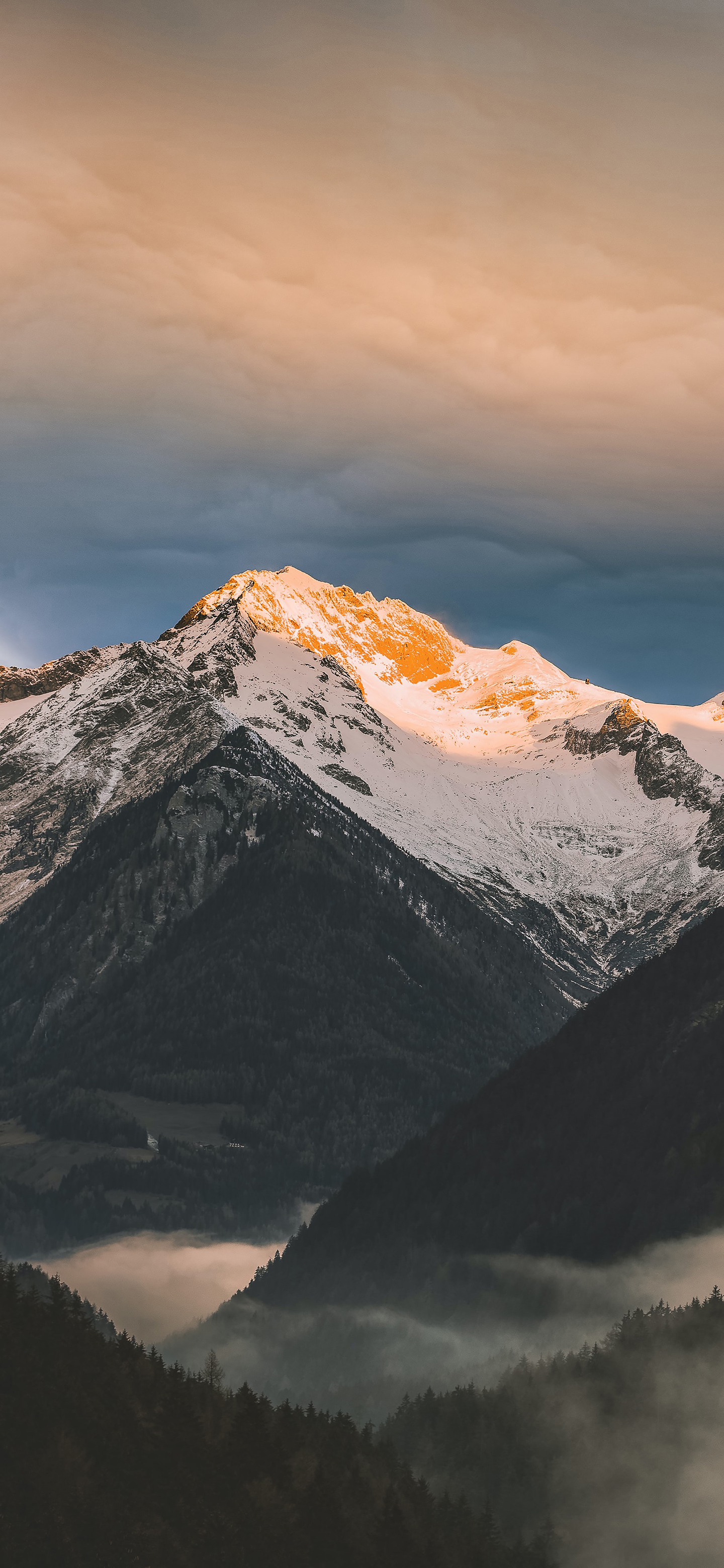 高清花和水的结合壁纸,风景壁纸高清全屏高级感组合