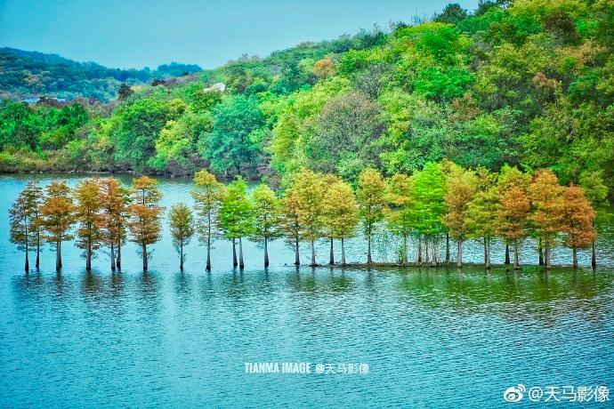 养心铁山寺,天泉湖铁山寺一日游