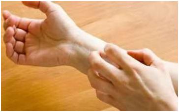 不用去泰国，原来真正好的乳胶就在这儿