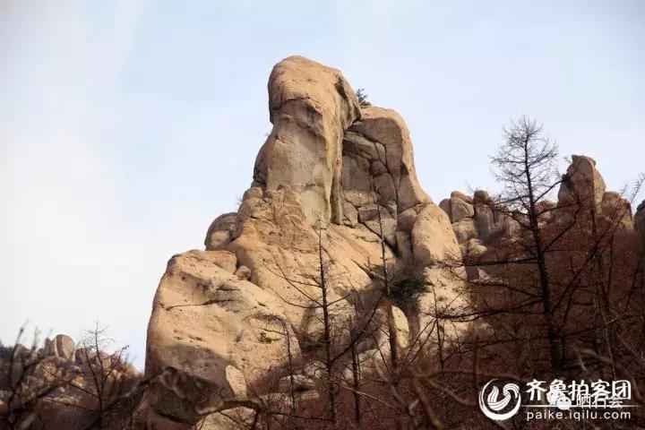 这些奇奇怪怪的奇石让人不忍直视,奇石每一件都是绝无仅有