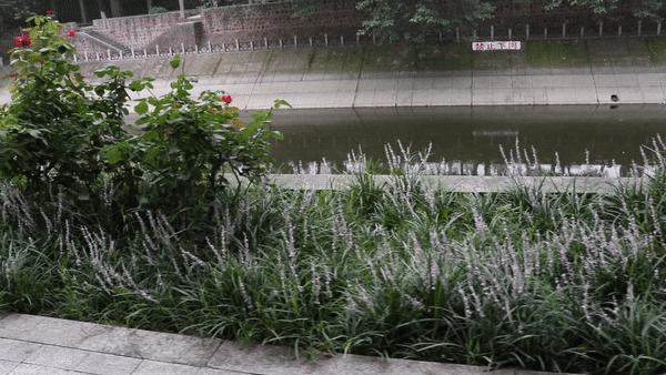 九号儿童滑板车c10怎么骑,九号儿童电动滑板车怎么选