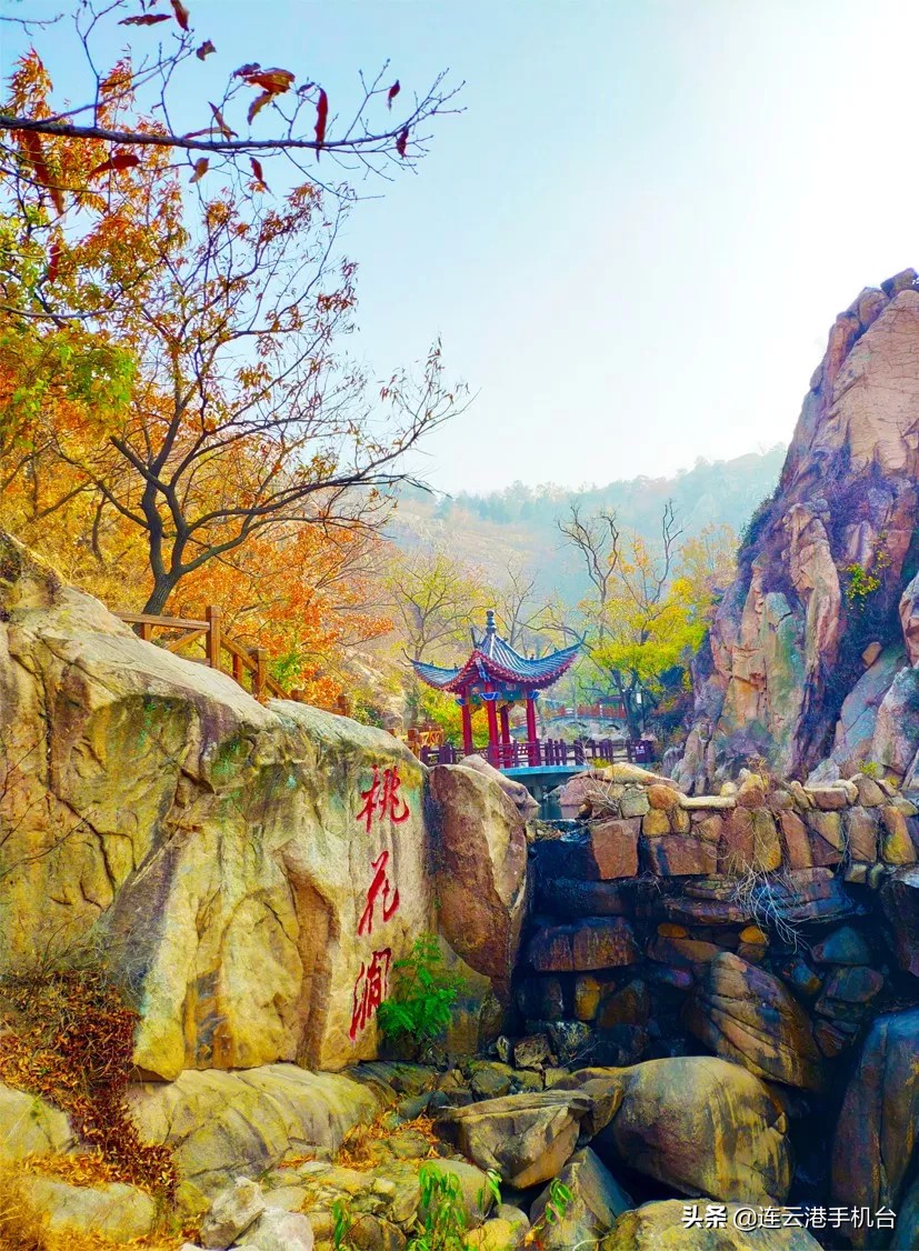 连云港赏秋最佳地点,连云港附近秋天值得去看的地方