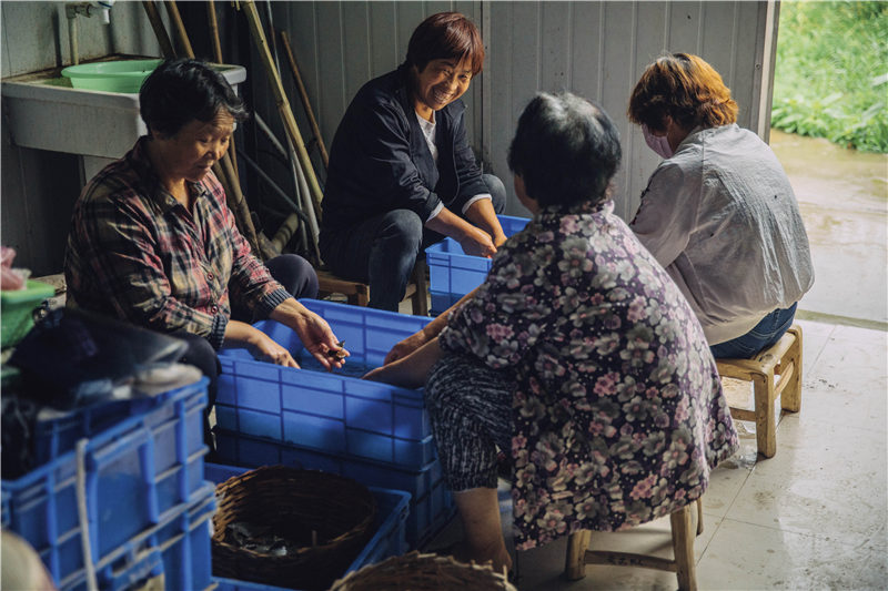 夏朝和二里头是什么,二里头和夏朝的关系