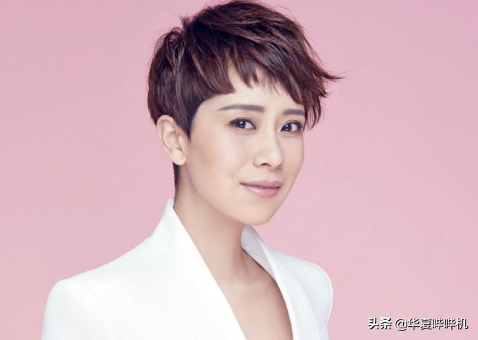 海清无戏可拍的原因,海清哭诉没戏拍的时候