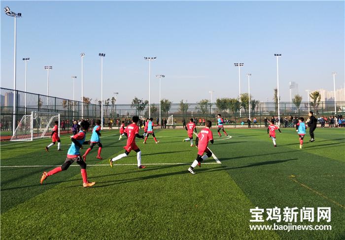 2023陕西足球队战况,陕西足球最新名单