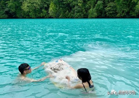 每个离开帕劳的人都会患上的“离岛综合症”