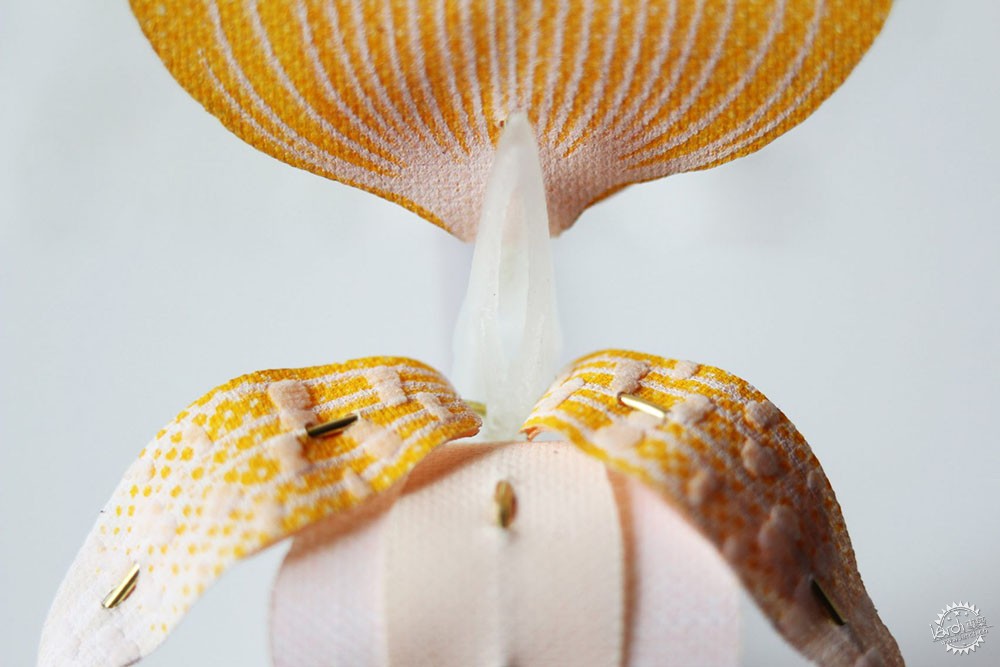 面对城市里日益减少的昆虫,设计师能做些什么?