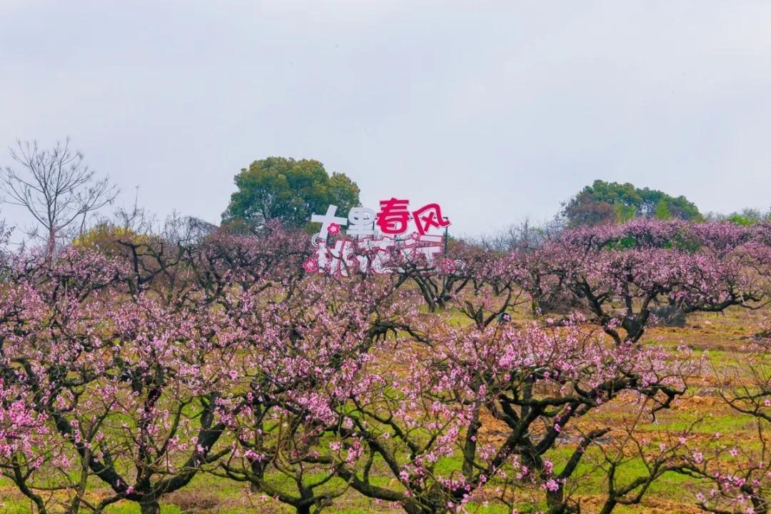 欢呼！余杭9条精品旅游线出炉！瓶窑、塘栖、中泰...太惊艳了！