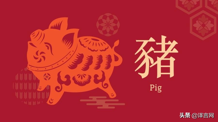 猪年的十二生肖的运势,1971猪年60岁好运运势