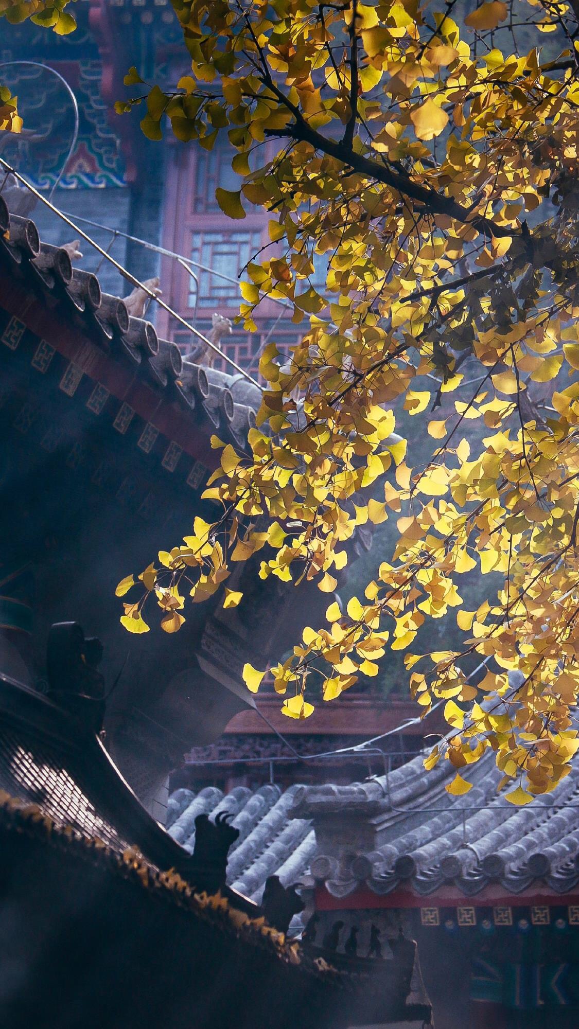 1920超高清手机自然风景壁纸,壁纸超清4k手机壁纸简单干净风景