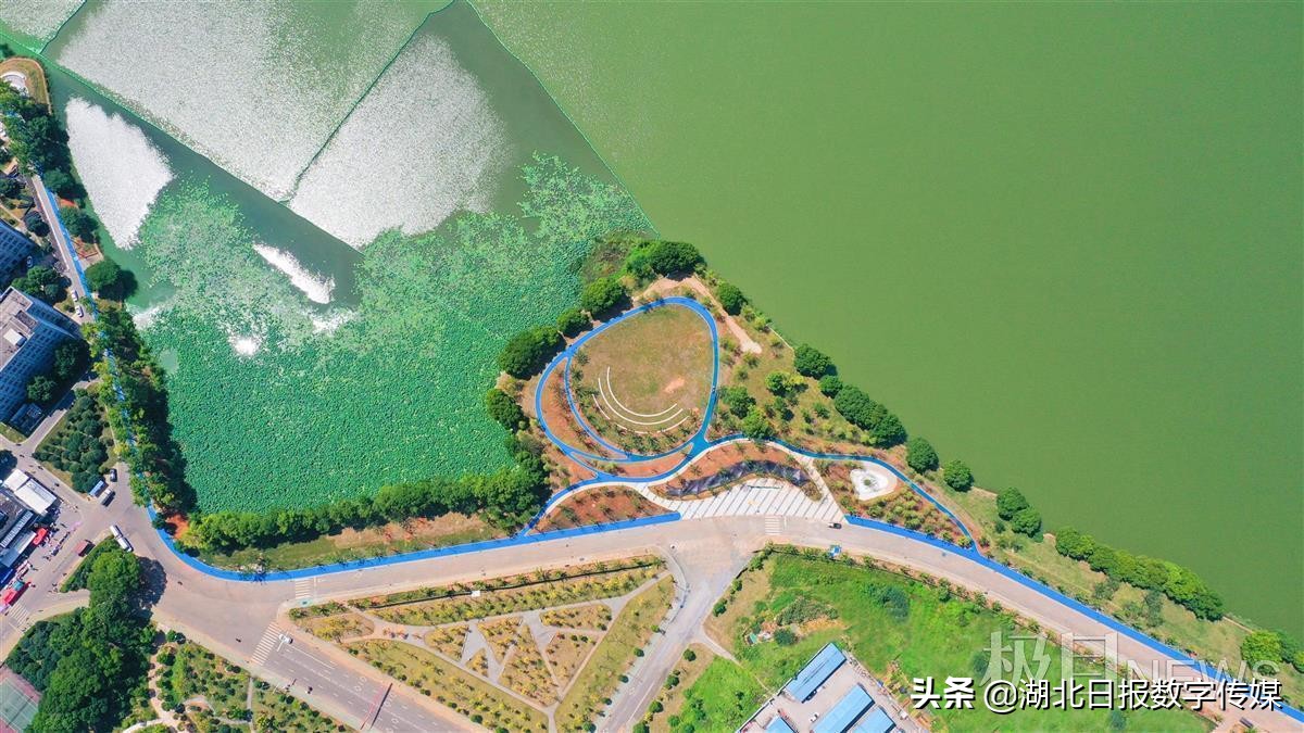 涓崡璐㈠ぇ鍗楁箹缁块亾,璐㈠ぇ鍗楁箹缁块亾