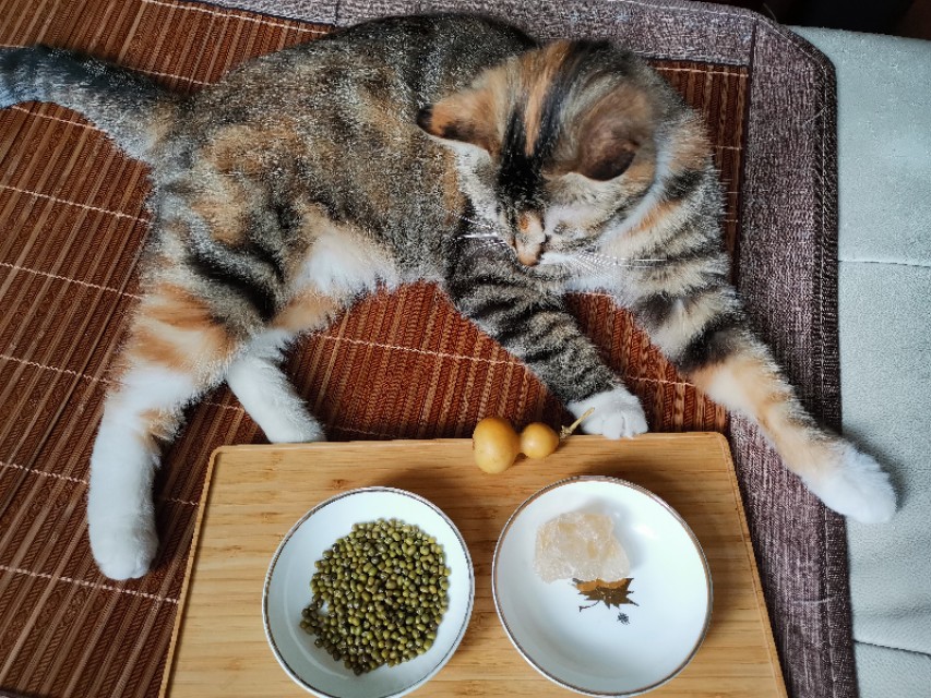 自制清凉解暑的汤喝,清凉解暑绿豆汤的做法抖音