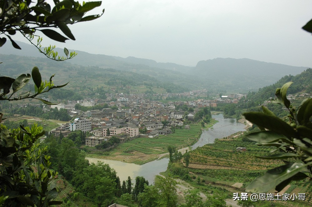 恩施土家人文地理：行游恩施，忠路雾洞春茶香