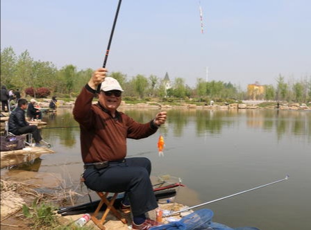 老年歌曲民歌1000首,老年歌曲100首经典老歌歌词
