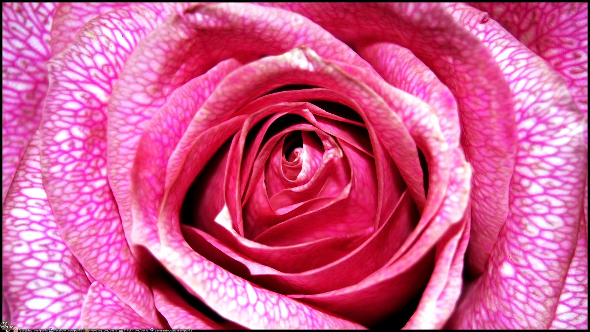 明基投影仪i707真实评测,爱普生投影仪tw5700tx和明基i707