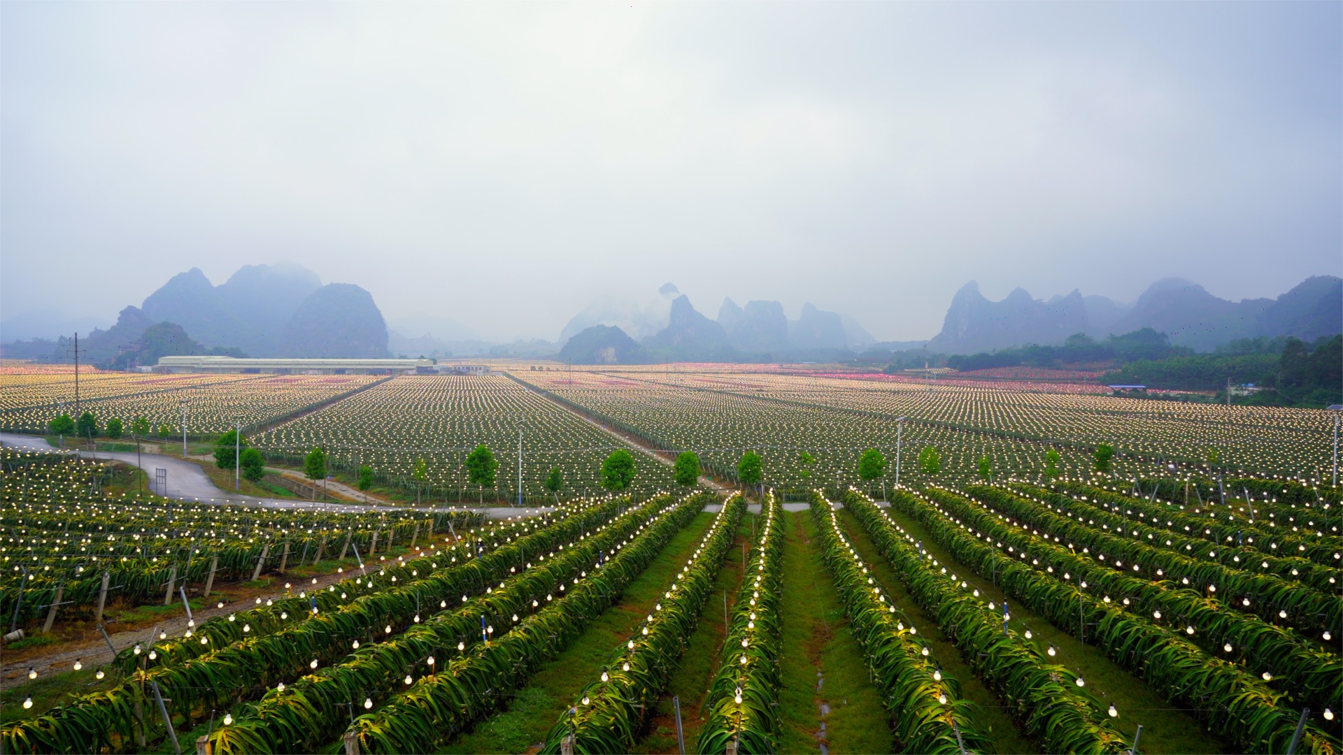 戴珊在阿里巴巴现任职务,阿里巴巴法定代表人戴珊