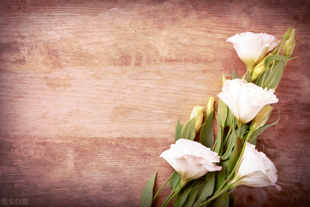 创业亏损百万的经验分享,创业6年我到底做了什么