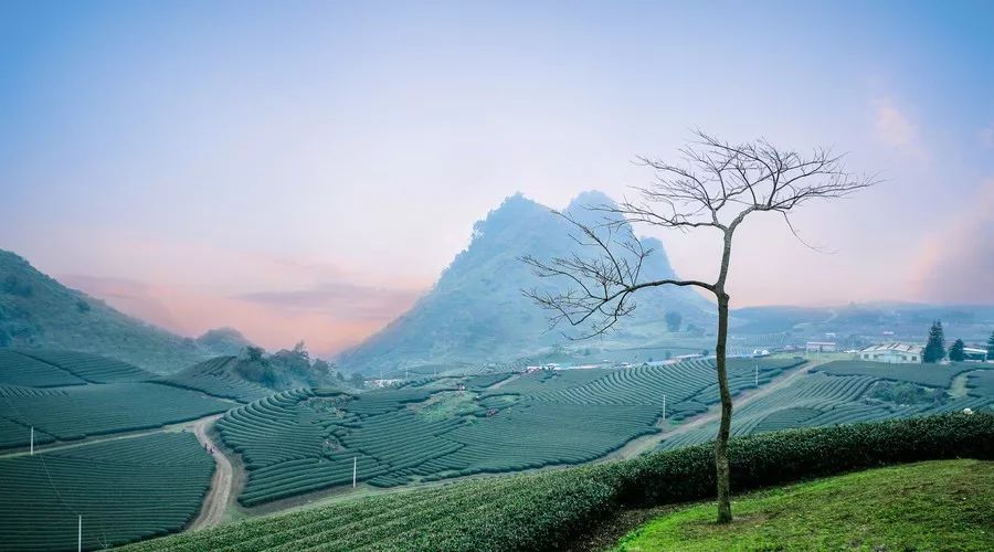 老成都盖碗茶茶艺表演的解说词,老成都盖碗茶茶艺