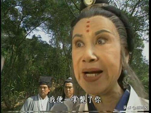 灭绝师太没追上青翼蝠王,灭绝师太峨眉武功