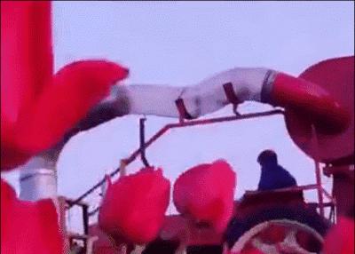 德国的认真和严谨,德国人的严谨和认真有多可怕