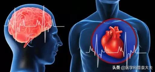 心血管健康您应知道的,心脑血管预防知识图