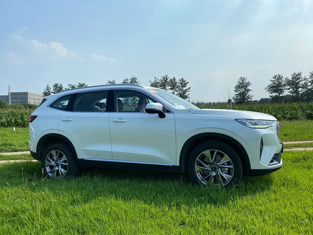 哈弗h6国潮版1.5t高功率底盘测试,试驾哈弗h6全新第三代