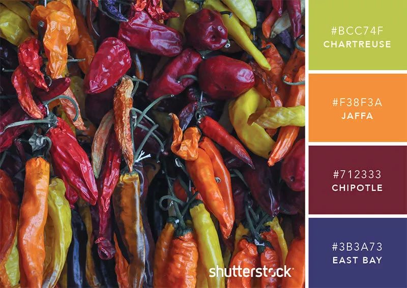 色彩搭配个人形象设计,色彩搭配都是业主亲自选择