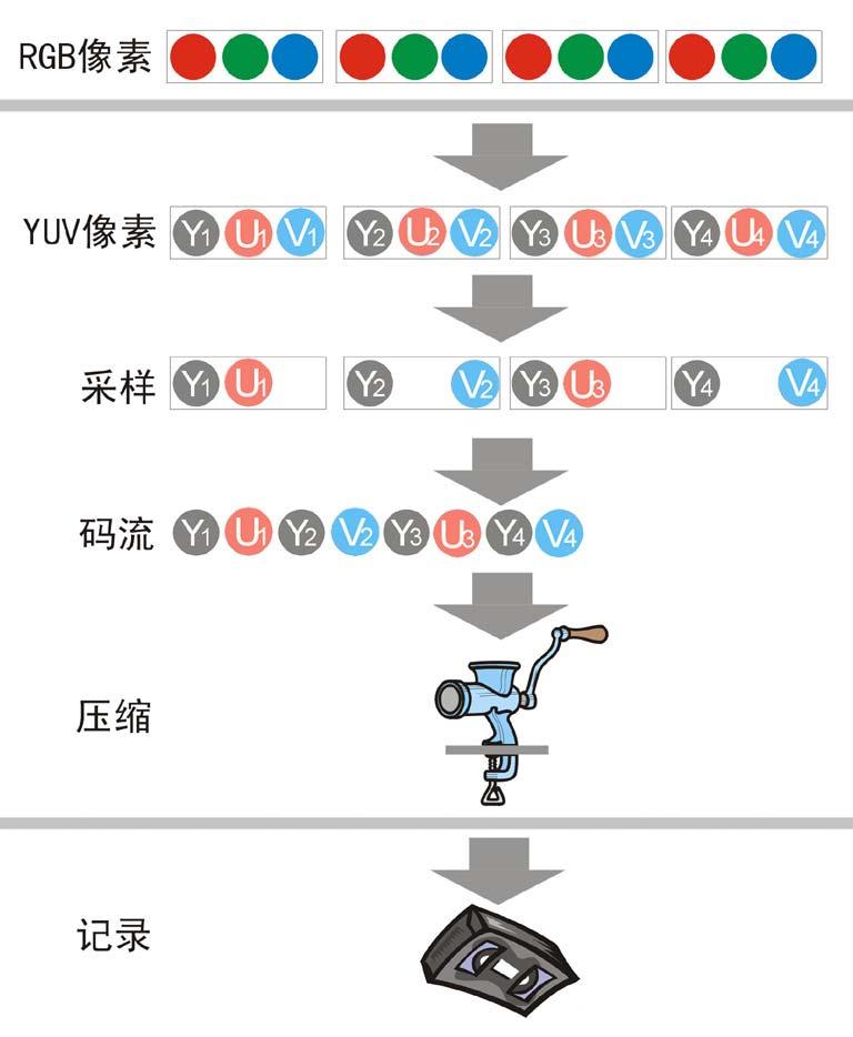 视频格式——编码和压缩