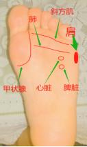 心绞痛的推拿疗法,足疗手法治疗心绞痛
