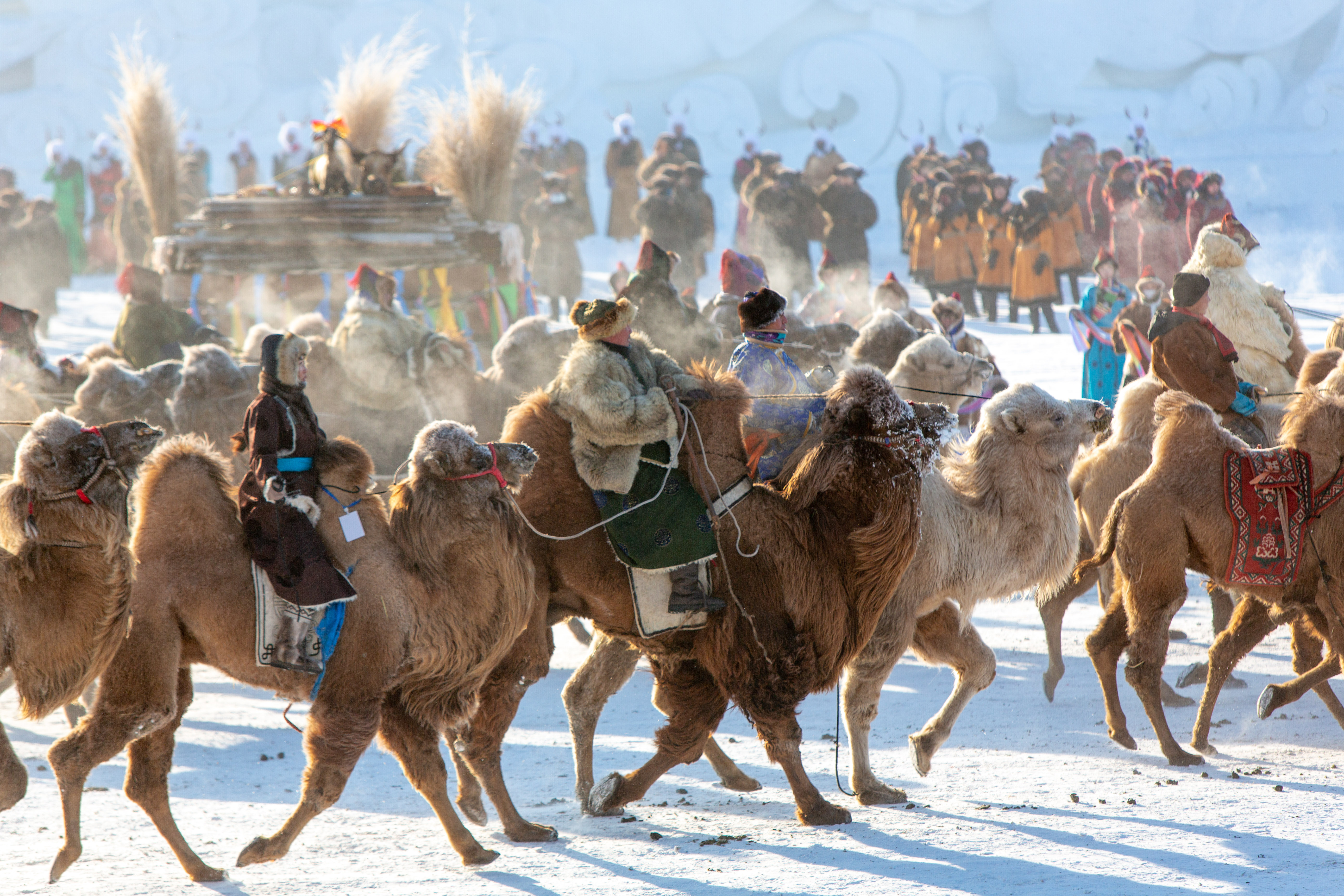 夏季内蒙古自驾游,北京到内蒙古东北自驾游旅行攻略