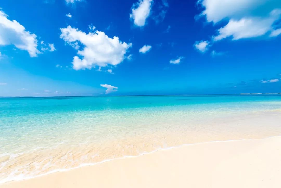 这个冬天来威海玩雪吧,冲绳出海看鲸鱼的季节