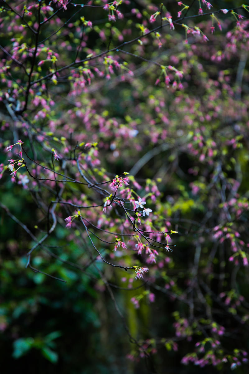 南昌月亮湾一日游最佳攻略,南昌月亮湾旅游攻略和自驾游攻略