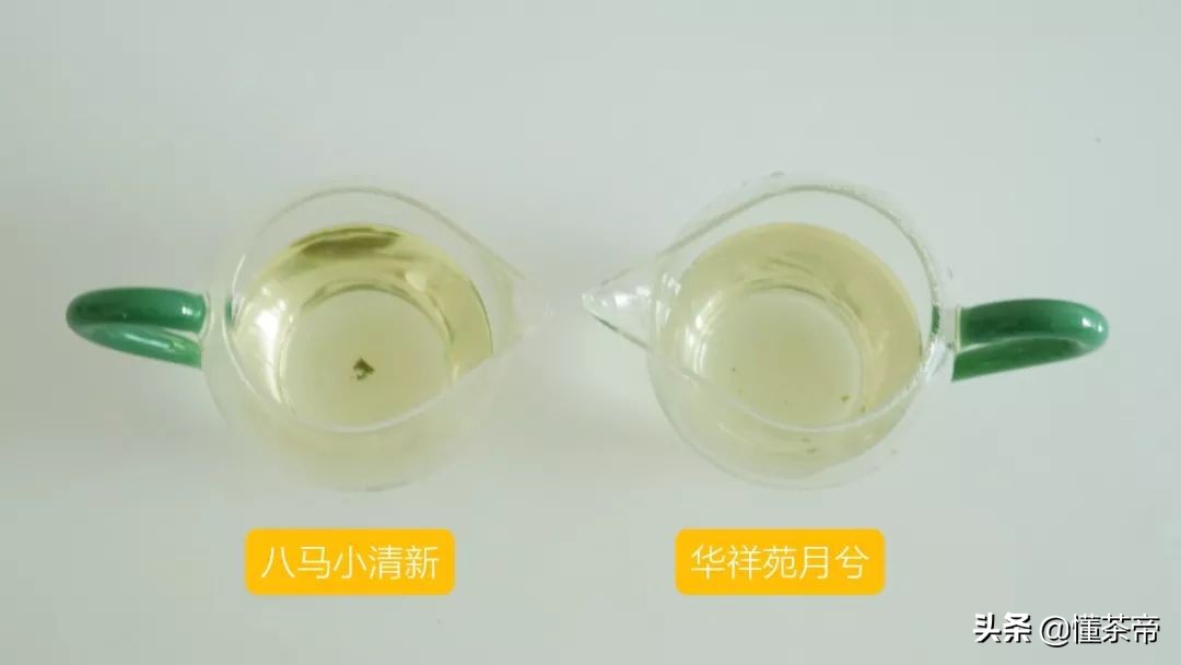 海堤铁观音与八马铁观音,八马茶业清香铁观音金罐测评