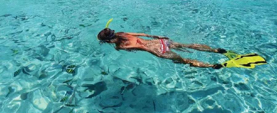 下川岛小帕劳,广东小帕劳