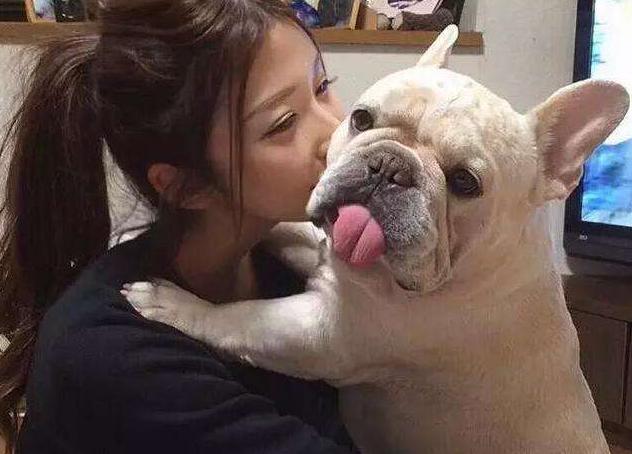 养法国斗牛犬脏吗,养英国斗牛犬的缺点