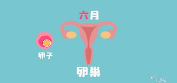 卵巢早衰导致月经不调的早期症状,女性卵巢早衰导致的月经不调