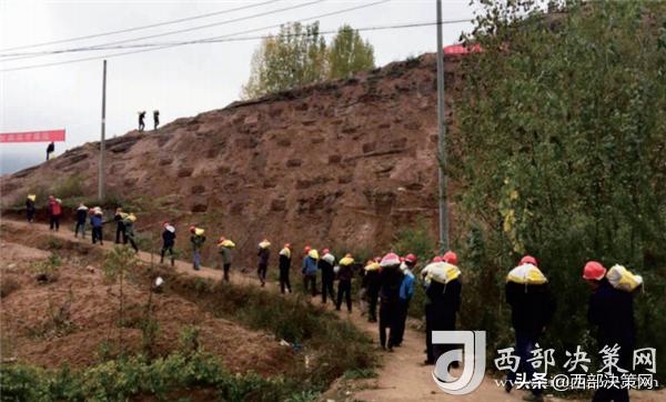 商洛市绿化工程,商洛城市绿化