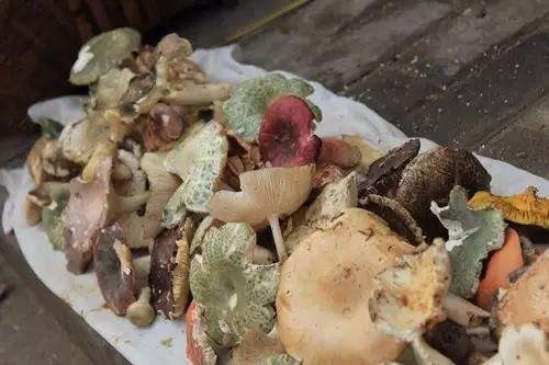 疫情过后一起去吃遍美食,疫情中的美食攻略