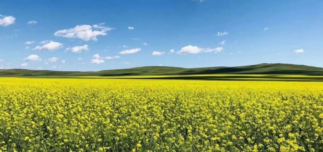 【最高院•裁判文书】合同相对人主张构成表见代理的应当举证证明