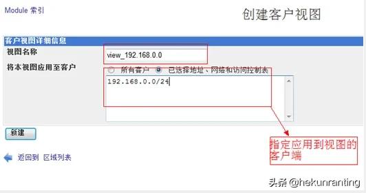 企业内网不搭建dns服务可以吗,局域网dns服务器架设