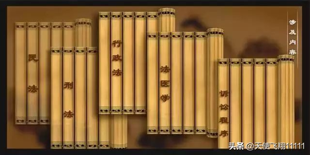 云梦睡虎地秦简证实了什么,云梦睡虎地秦简有多强