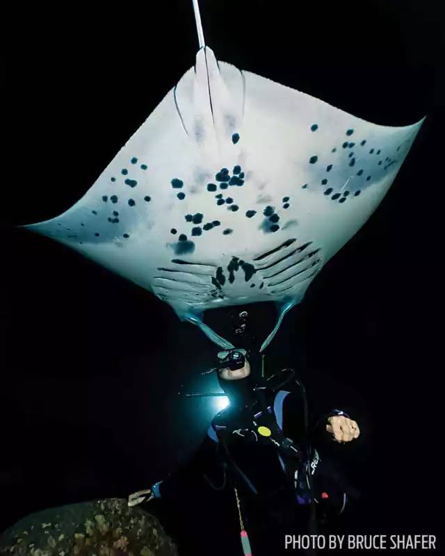 自由潜水怎么玩,潜水20个基本技巧