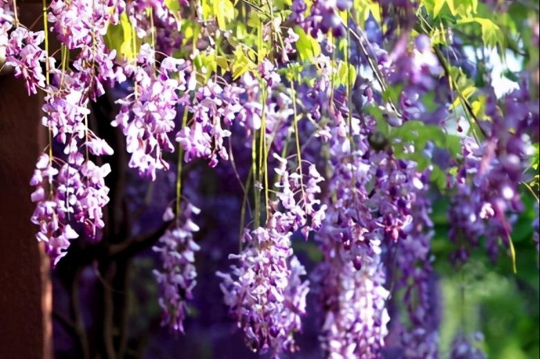 美剧英语天天背：PaymyRespecttoSb