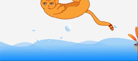 鹦鹉被主人剪断整个翅膀,鹦鹉被主人拔羽管