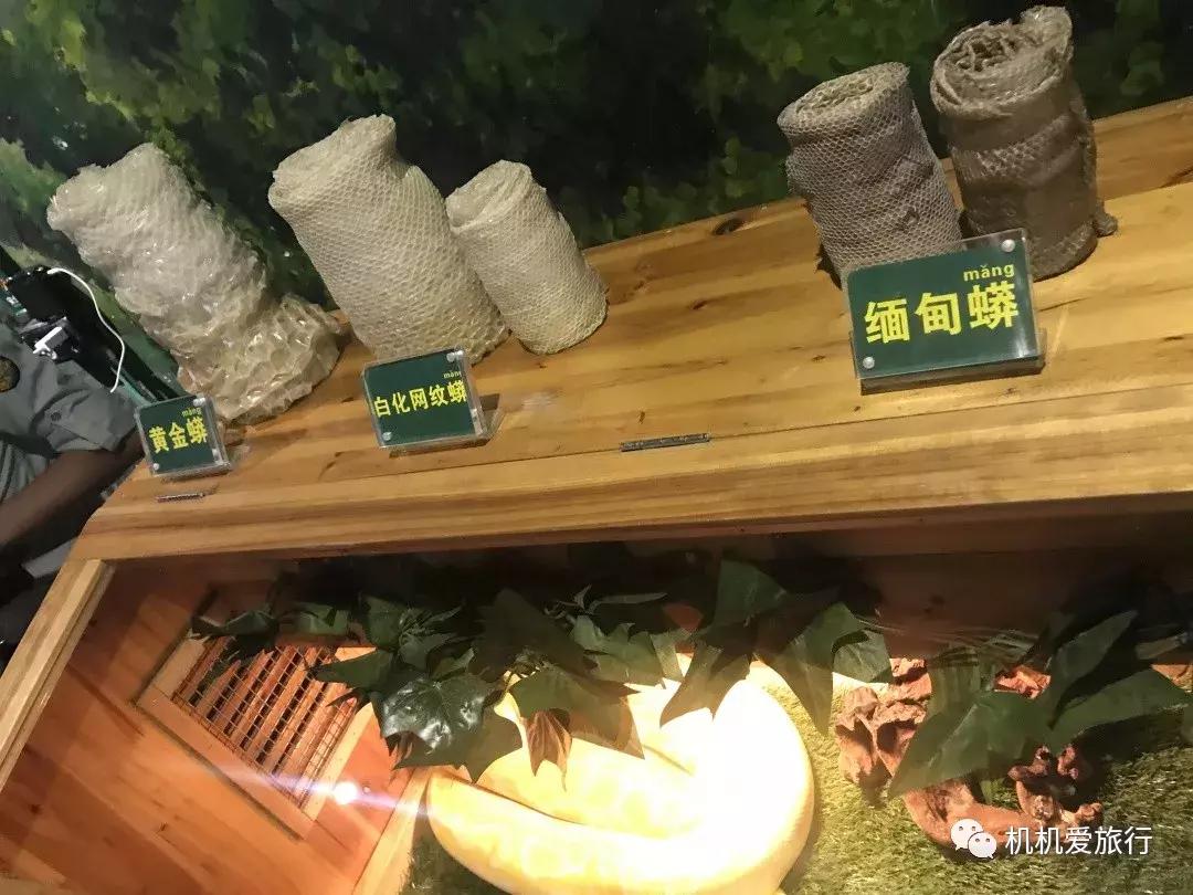 珠海长隆和广州长隆旅行攻略,珠海长隆和广州长隆旅游攻略区别