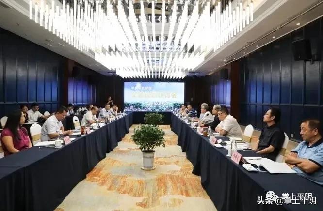 如何打造平阴“杏坛遗响儒乡孔村”文旅品牌,专家学者这样建言献策