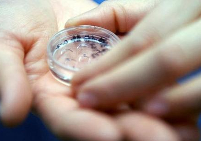 女孩儿卖卵换钱买手机：家有女儿，要教她远离诱惑