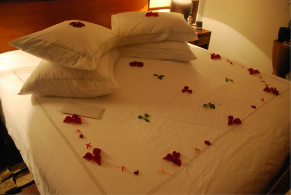 去马尔代夫不懂外语,去马尔代夫不会游泳怎么玩