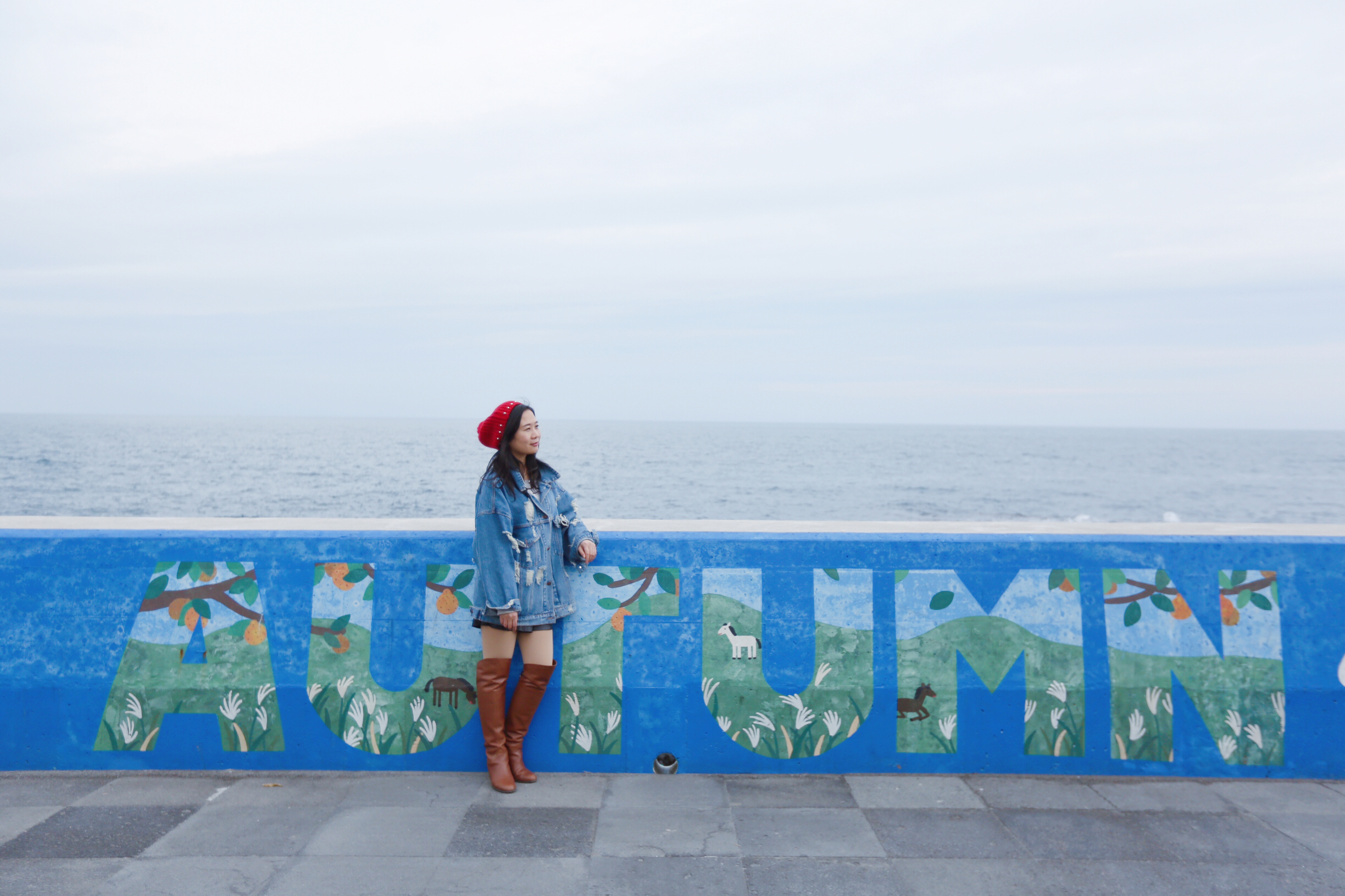 韩国济州岛泰迪熊博物馆最大的熊,济州岛泰迪熊王国