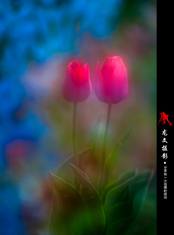 灏煎悍澶氶噸鏇濆厜鏁欑▼,浣宠兘澶氶噸鏇濆厜鏁欑▼